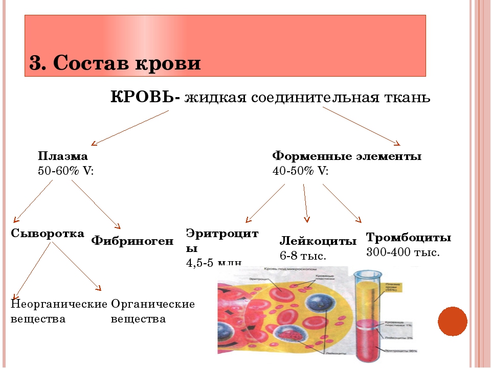 Группы крови презентация 8 класс биология