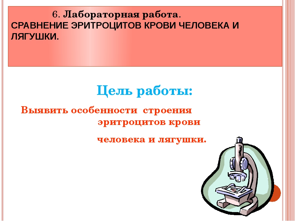 Внутренняя среда организма презентация 8 класс по биологии