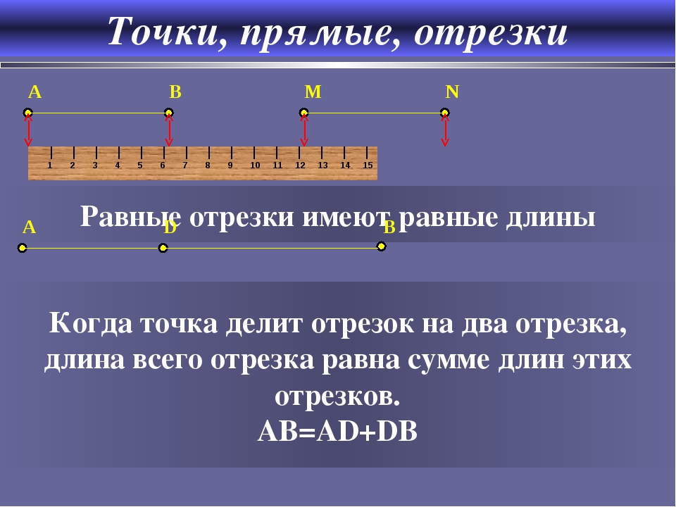 Отрезок имеет конец. Равные отрезки имеют равные длины. Точки прямые отрезки. Отрезки равной длины. Понятие отрезка в геометрии.