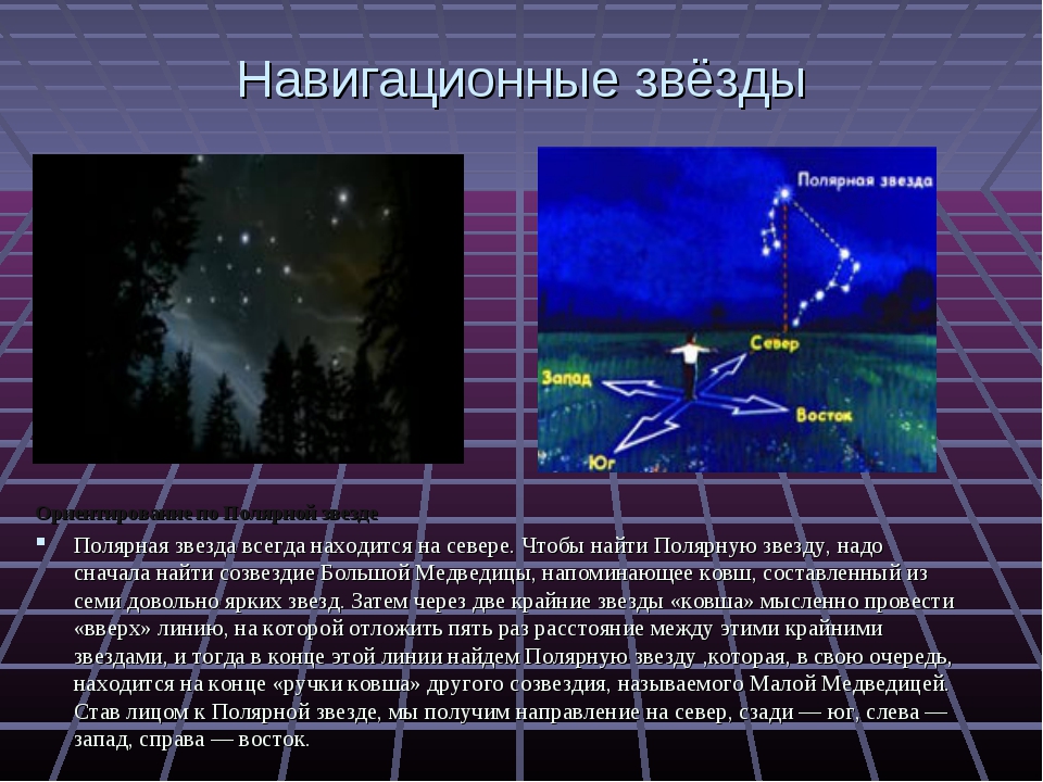 Полярная звезда класс звезды. География проект полярной звездой. Навигационные звезды. Навигационные звезды и созвездия. Сведения о полярной звезде.