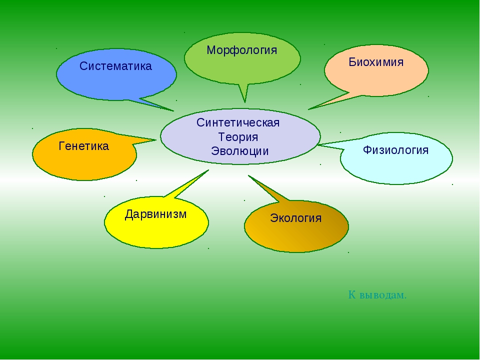 Синтетическая теория эволюции картинки