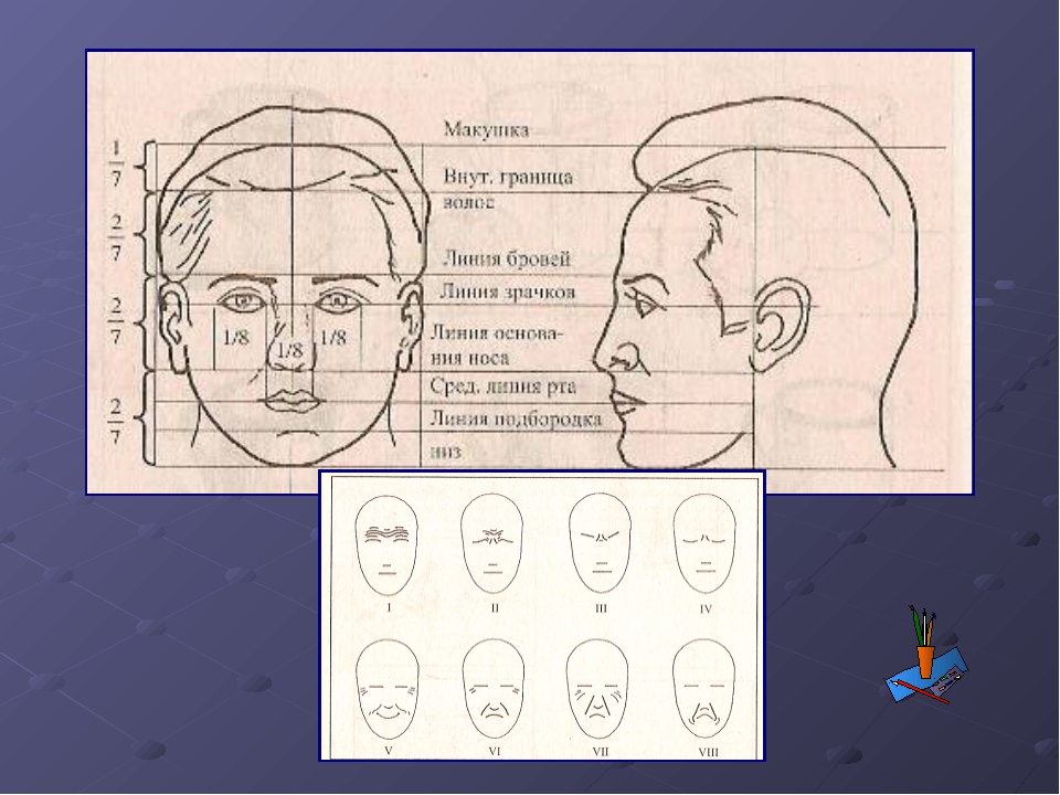 Картина портрет изо 3 класс презентация. Изображение головы человека в пространстве рисунок. Образец эскиза портрета по изо. Мужской отрицательный портрет изо. Каким цветом нарисовать голову человека.