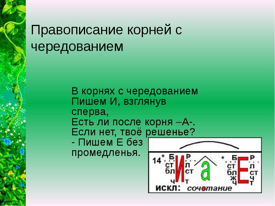 Правила русского языка презентация