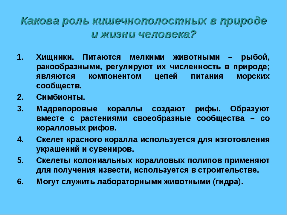 Сравнение кишечнополостных. Роль кишечнополостных в природе и жизни человека. Значение кишечнополостных в природе. Значение кишечнополостных в природе и в жизни человека. Какова роль кишечнополостных в природе.