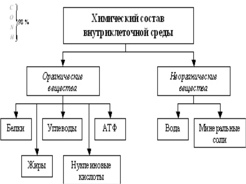 Важные элементы успешных проектов