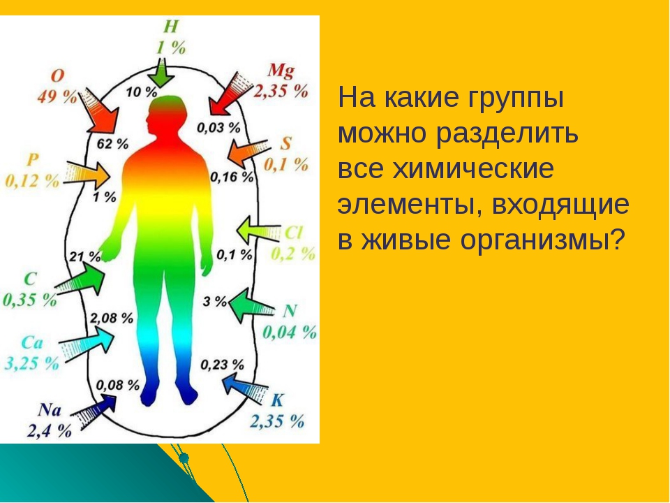 Схема химические соединения живой материи