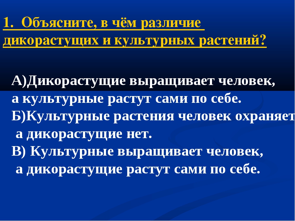 Итоговый тест по теме "Рукотворная природа", 4 класс