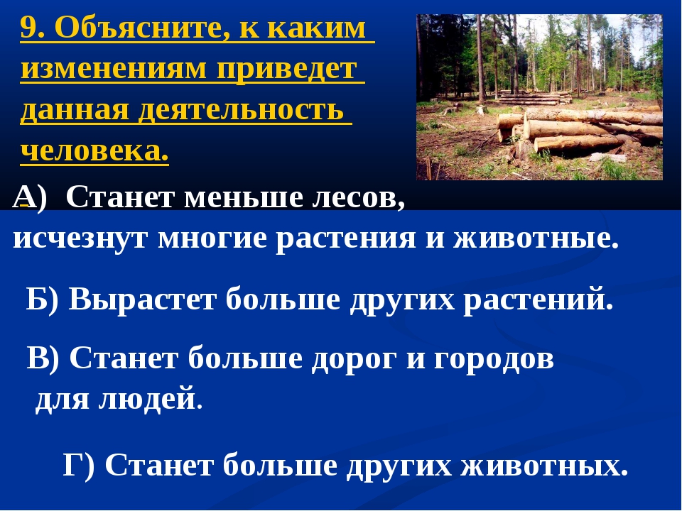 Итоговый тест по теме "Рукотворная природа", 4 класс