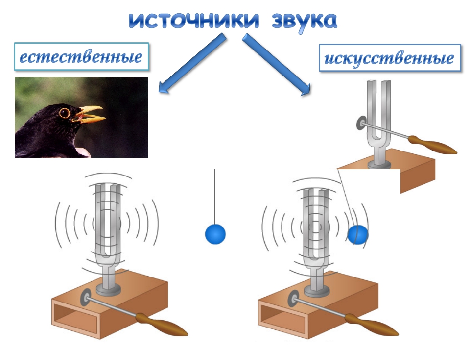 Тест звук физика