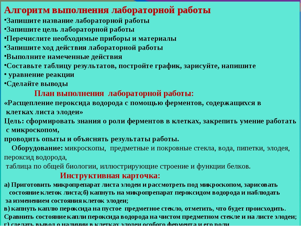 Выполняя лабораторную. Алгоритм лабораторной работы. Алгоритм выполнения лабораторной работы по биологии. Алгоритм выполнения практической работы. Алгоритм проведения лабораторной работы по физике.