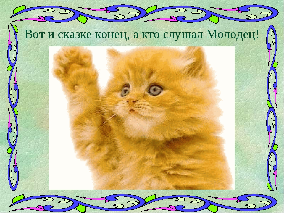 Лев молодец. Котенок молодец. Кот открытка молодец. Конец с котиком. Картинки котиков молодец.