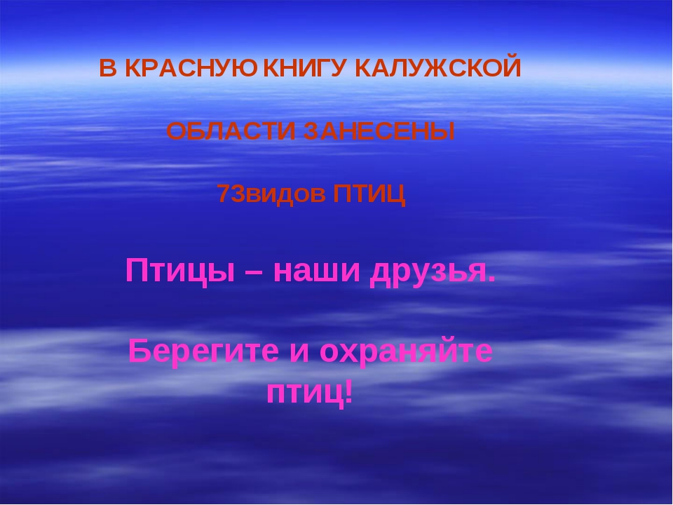 Птицы калужской области фото с названиями летом