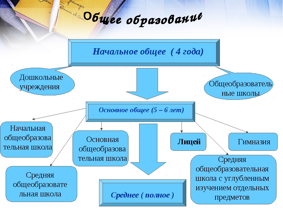 Конституция право на образование в школе. Начальная основная и средняя школа. Права граждан на образование. Начальное общее образование. Начальное общее образование в России.