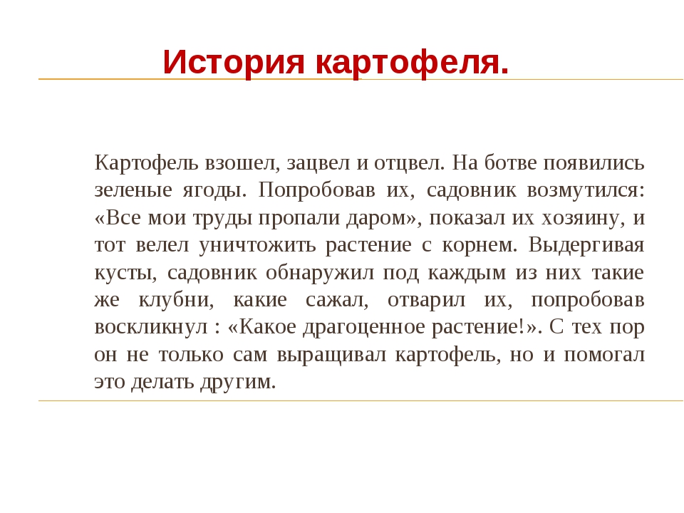 История происхождения картофеля. История картофеля. История возникновения картофеля. История появления картошки. Исторические сведения о картофеле.