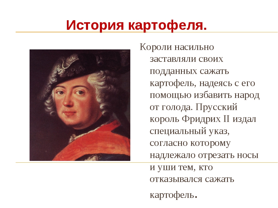 Предок картофеля. История картофеля. История картошки. История появления картофеля. История возникновения картошки.