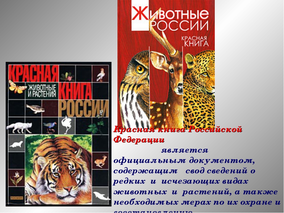 Презентация красная книга российской федерации