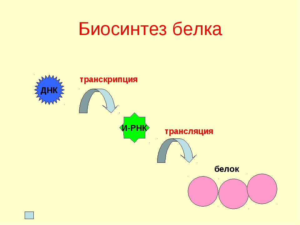 Рисунок биосинтеза