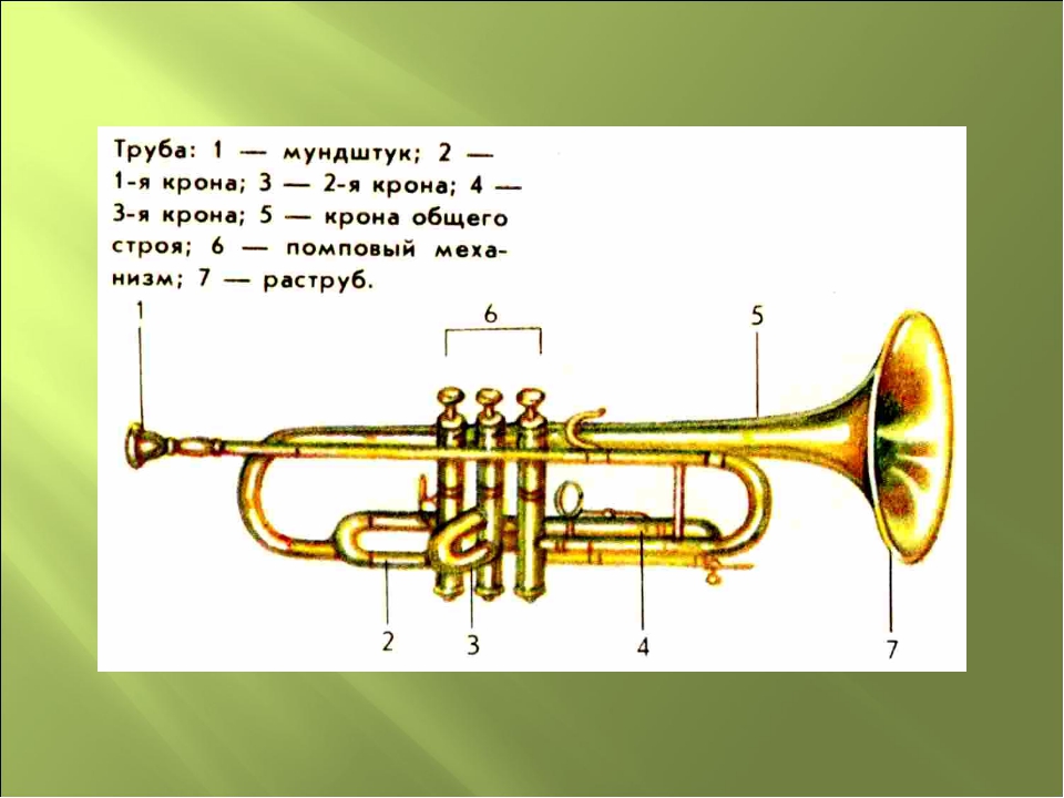 Звук музыкальной трубы. Тромбон строение инструмента. Труба музыкальный инструмент вид сбоку. Труба строение инструмента. Строение музыкальной трубы.