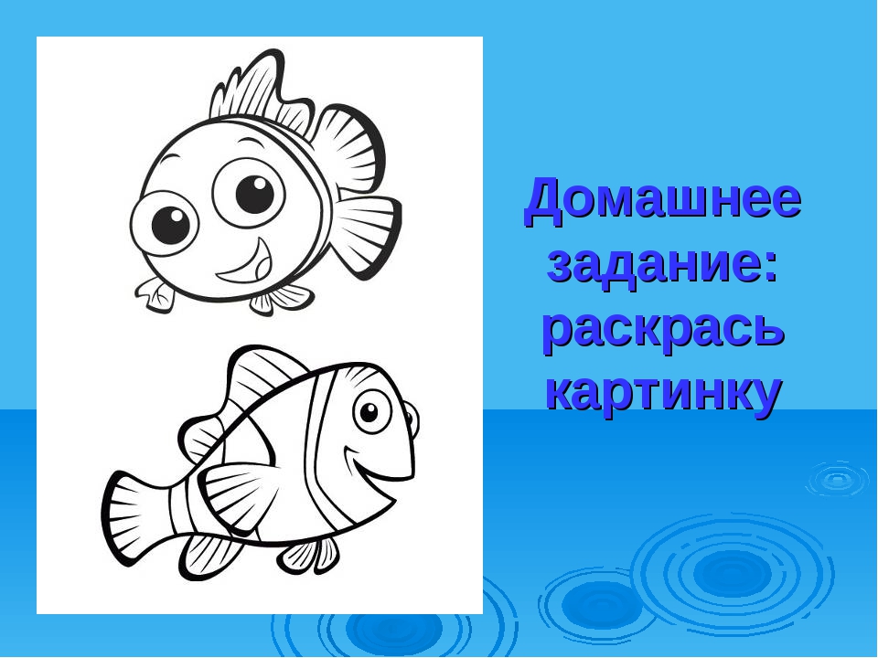 Рыбы 1 класс окружающий. Задание про рыб 1 класс окружающий. Рыбка рисунок окружающий мир. Рыба рисунок окружающий. Рыбка 1 класс.