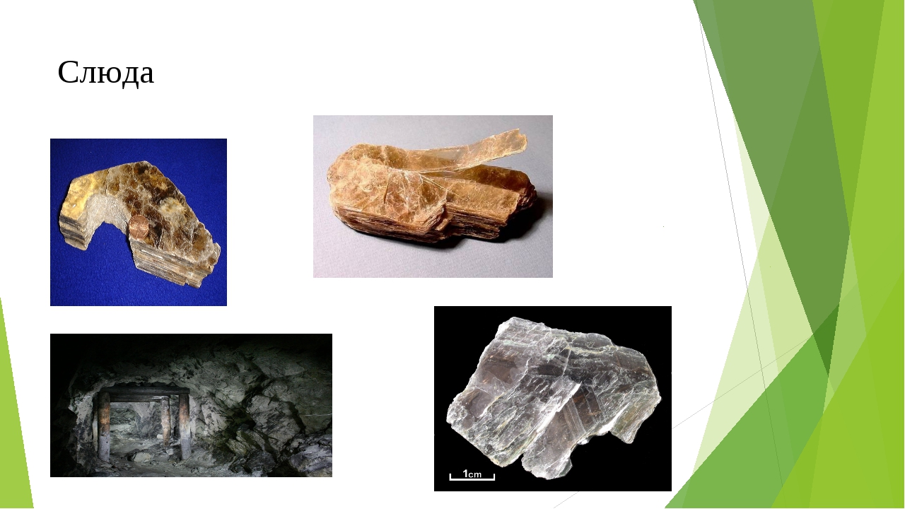 Слюда это минерал или горная. Мусковит происхождение минерала. Мусковит породообразующие минералы. Полезные ископаемые слюда. Слюда полезное ископаемое.