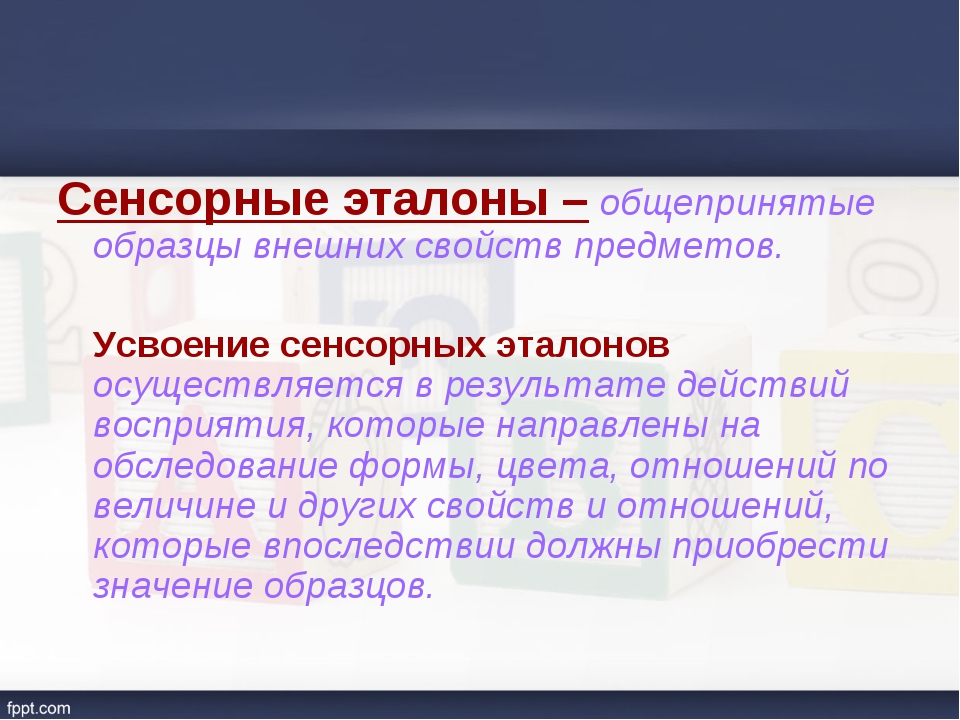 Общепринятые образцы каждого вида свойств и отношений предметов