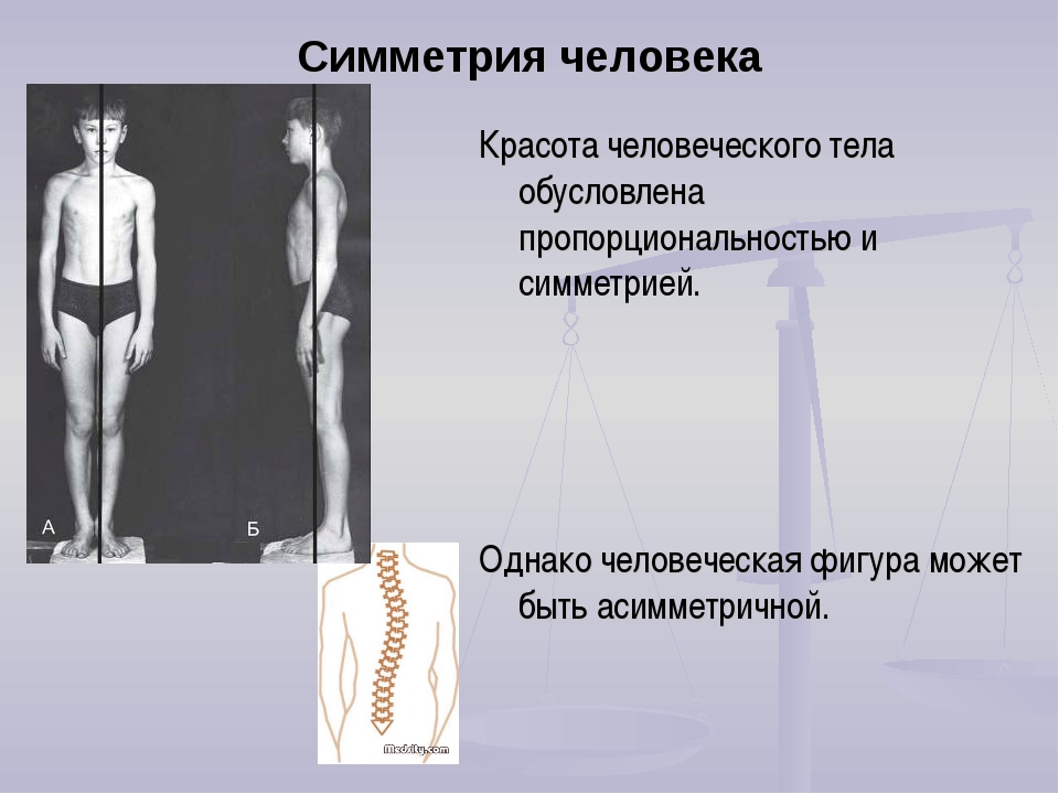 Симметрия в медицине презентация