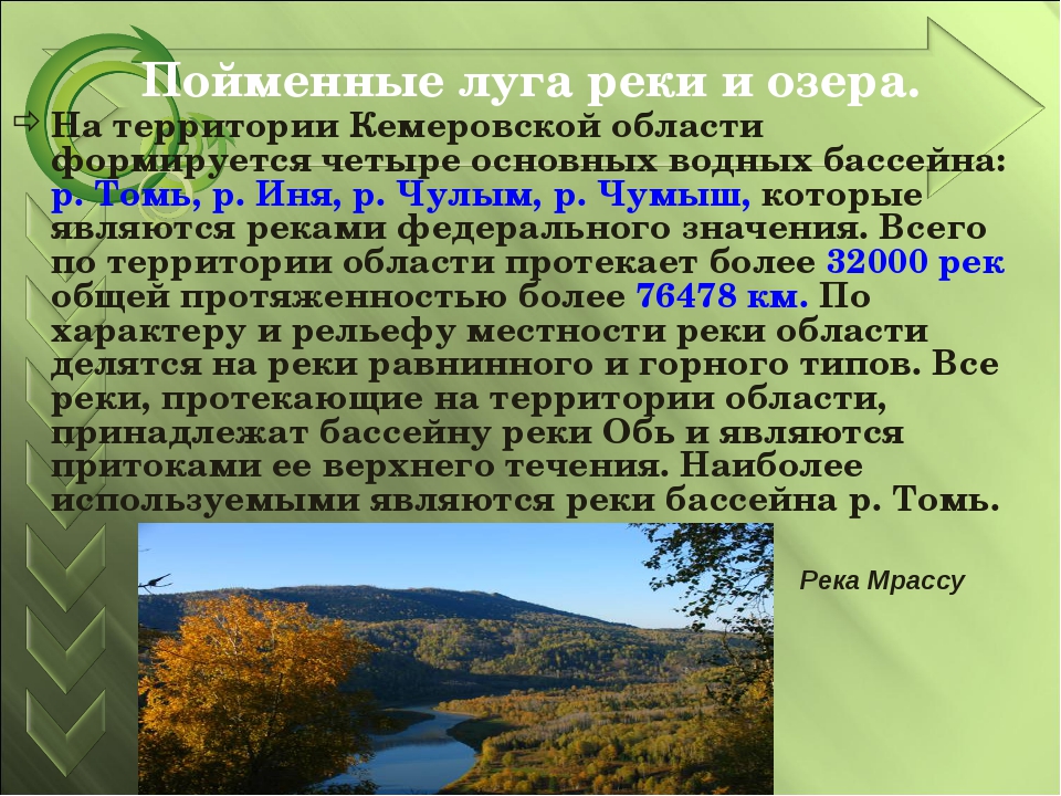 Природное сообщение 4 класс. Природные зоны Кемеровской области. Сведения о Кемеровской области. Сообщение о Кузбассе. Сообщение о Кемеровской области.