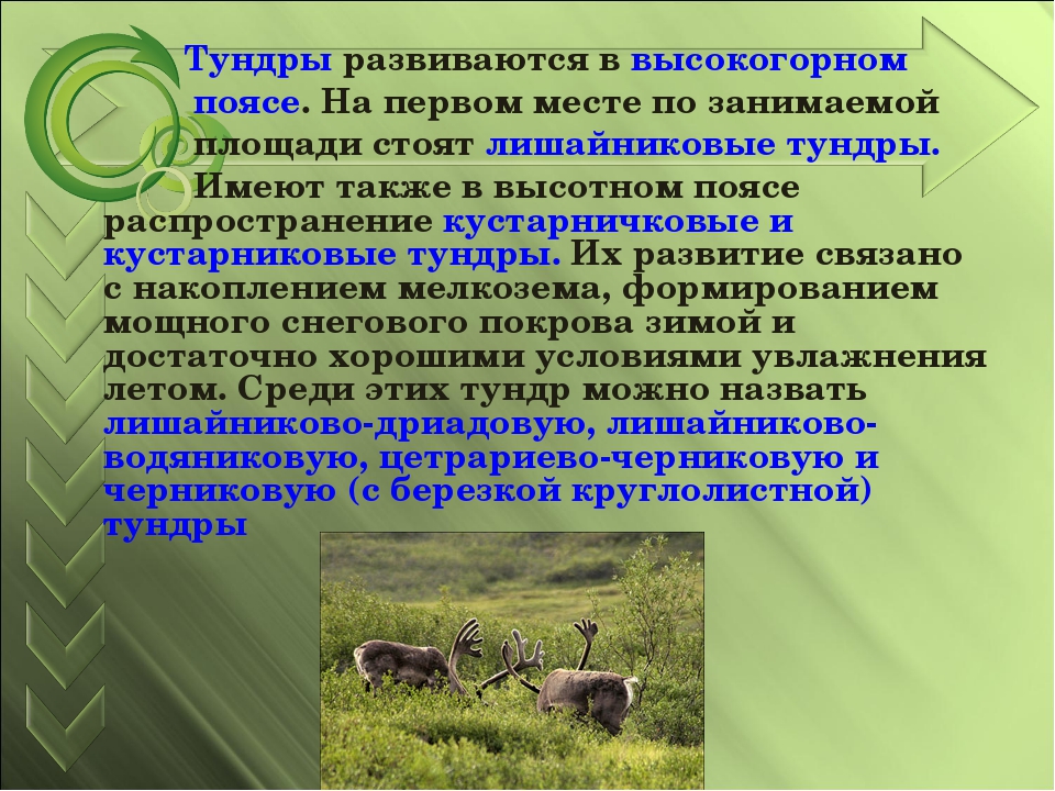 В какой природной зоне находится кемеровская область. Природные зоны Кузбасса. Природные зоны Кемеровской области. Природные сообщества Кузбасса. Природные зоны Кемеровской области 4 класс.