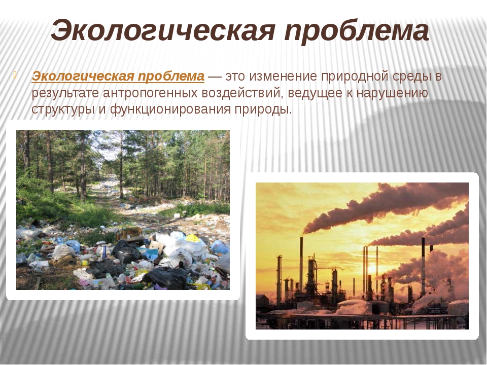 Причины изменения окружающей среды. Экологическая проблема это определение. Проблемы экологии в современном мире. Проблемы экологии это определение. Экологические проблемы России.
