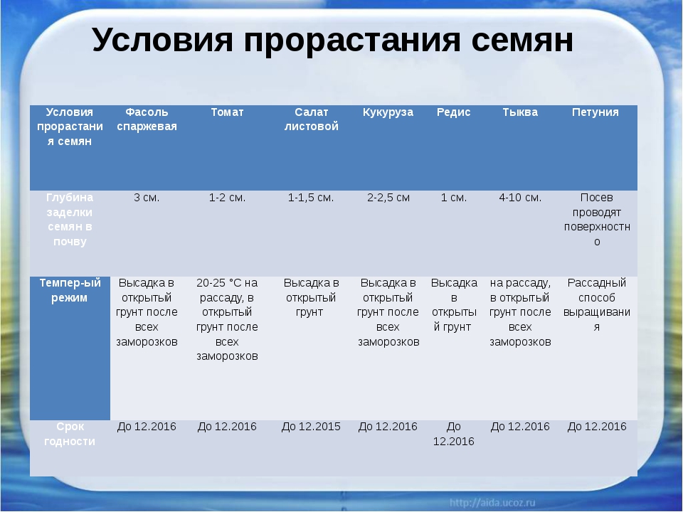 Проект прорастание семян 6 класс