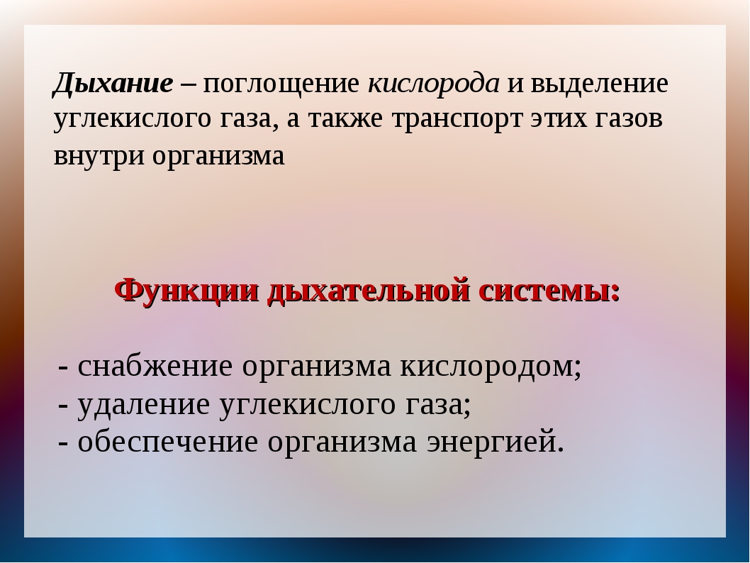 Органы дыхания и газообмен 7 класс презентация