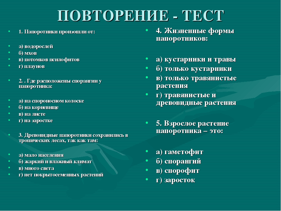 Папоротник листовик описание. Тест на тему папоротник. Тест по теме папоротники 7 класс. Тест по теме папоротники 7 класс. Споровые растения 7 класс биология.