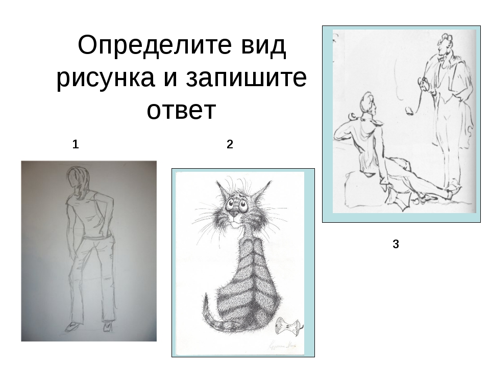 Дайте определение эскизу. Виды рисунков. Рисунок виды рисунка. Виды зарисовок. Какие разновидности рисунков бывают.