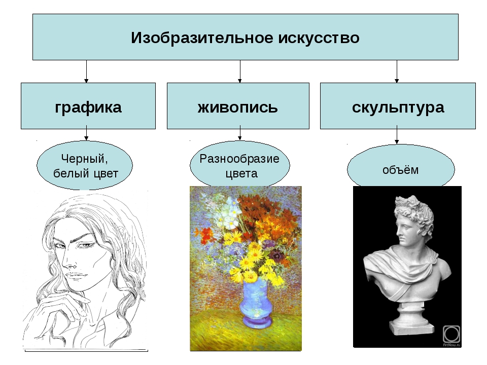 К какому виду графики относится фотография