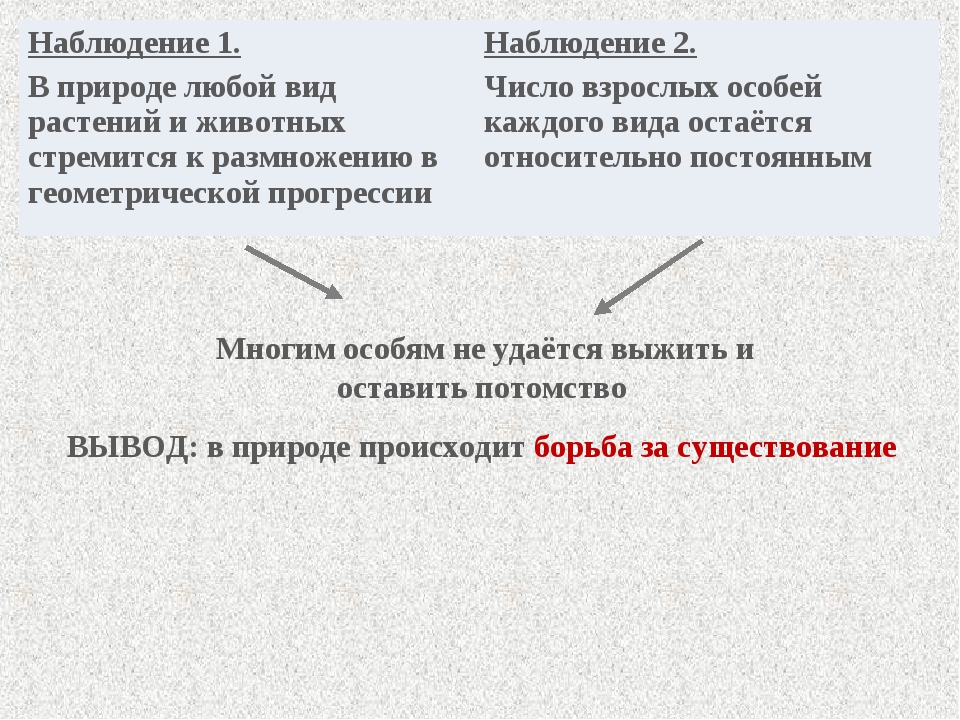 Презентация эволюционное учение 9 класс биология