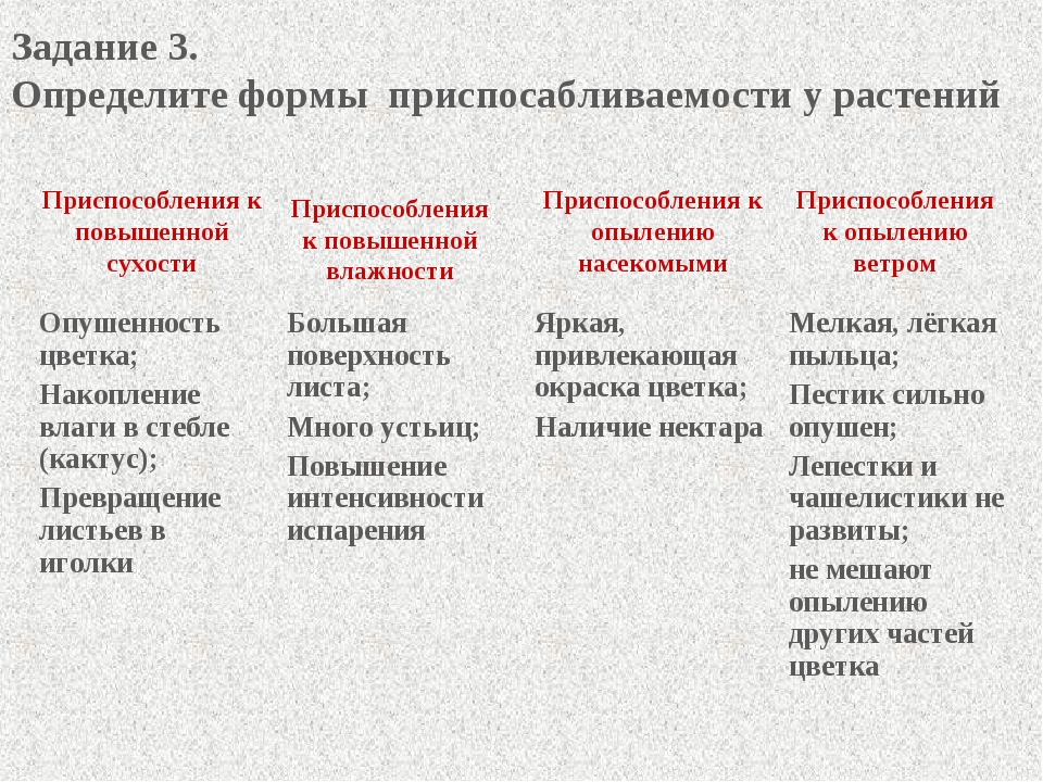 Презентация эволюционное учение 9 класс биология