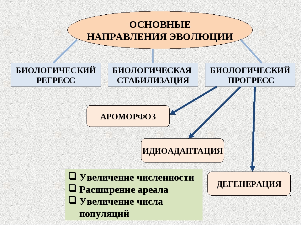 Презентация эволюционное учение 9 класс биология