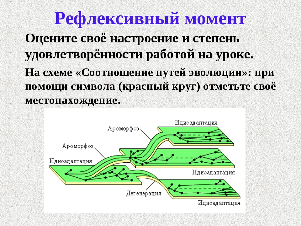 Презентация эволюционное учение 9 класс биология