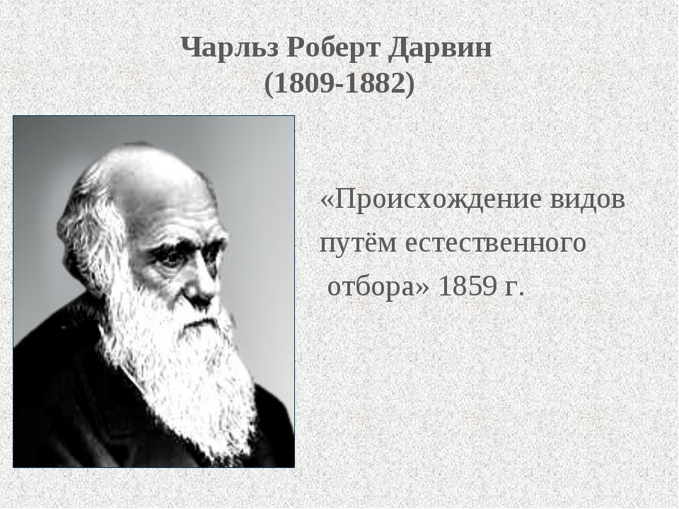 Происхождение видов читать. Чарльз Роберт Дарвин 1809-1882. Происхождение видов путем естественного отбора 1859. Чарльз Дарвин естественный отбор. Возникновение новых видов по Дарвину.