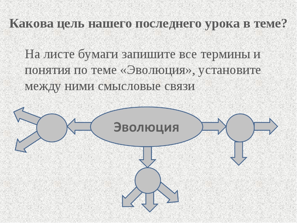 Тест по теме эволюция 9 класс биология