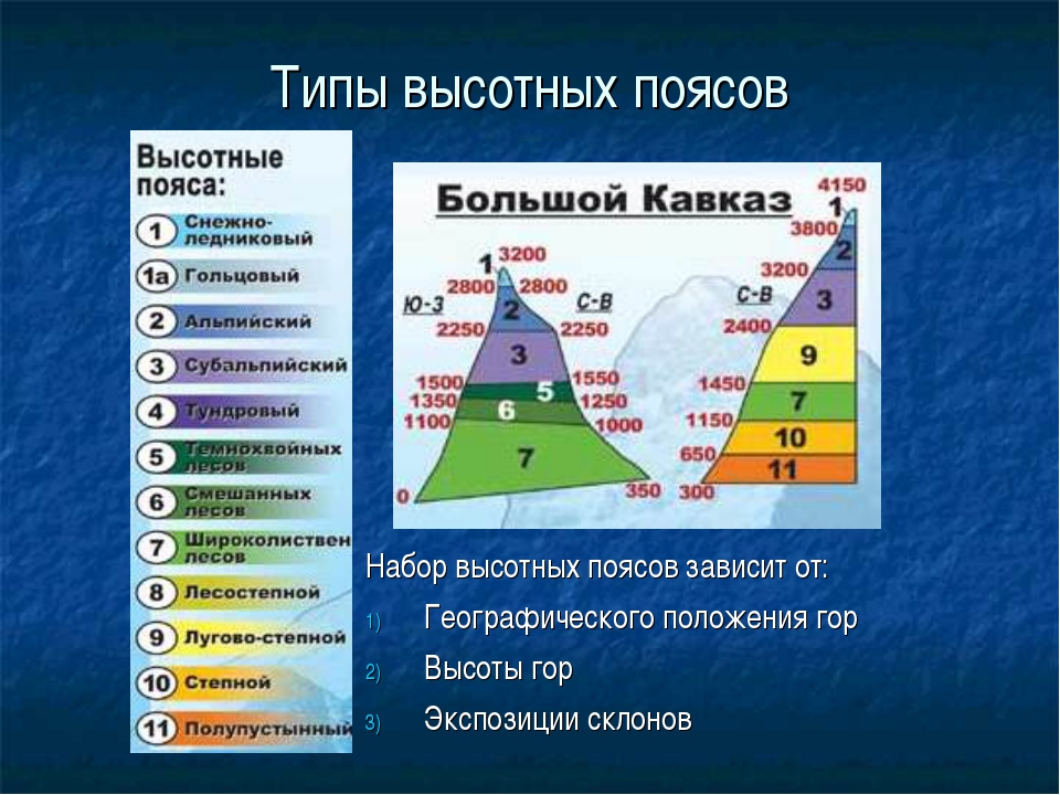 Высотная поясность кавказа презентация