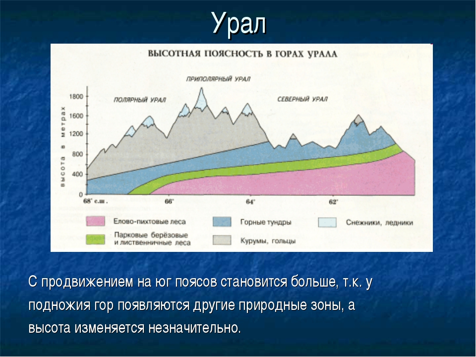 Схема высотной поясности алтая