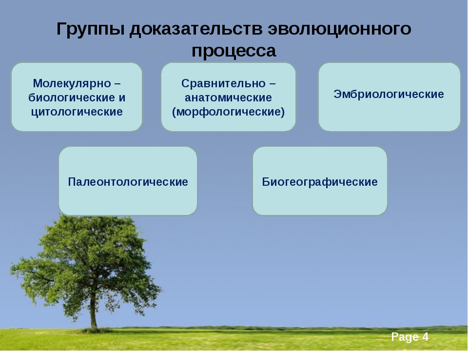 Доказательства эволюции презентация 11 класс