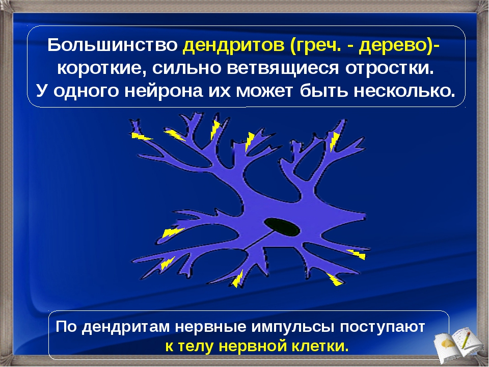 Нервные импульсы картинка