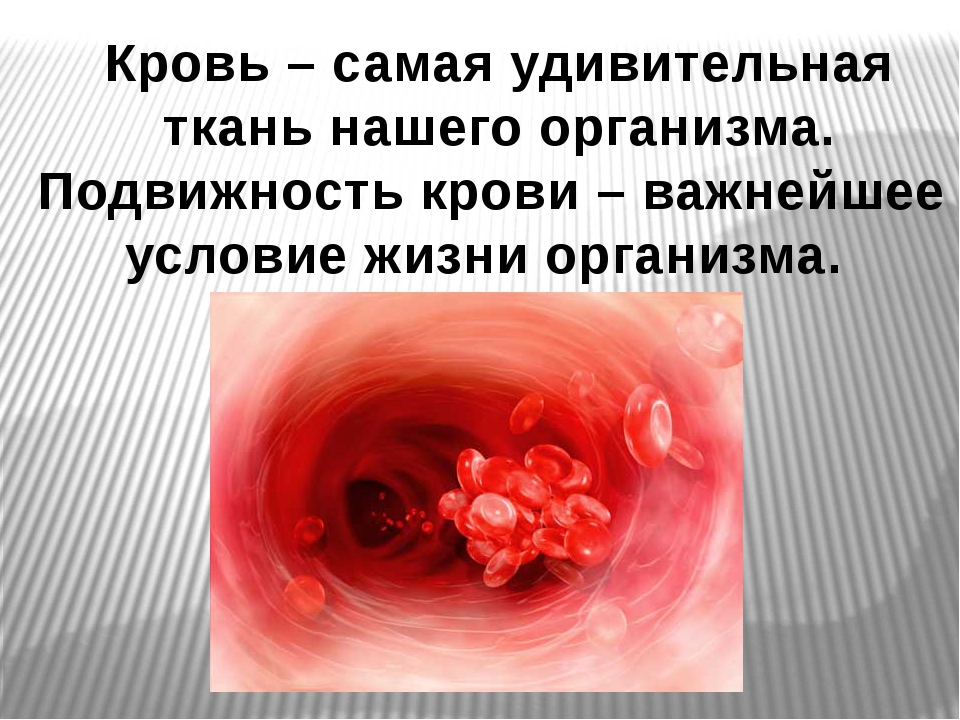 Кровь презентация 8 класс биология