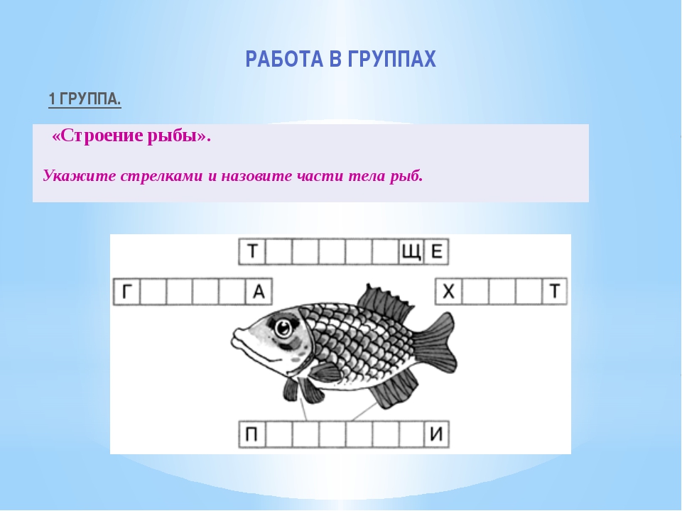 Слова рыба ответы. Схема слова рыба. Схема слова рыбка. Схемка слова рыба. Предложение со словом рыба.