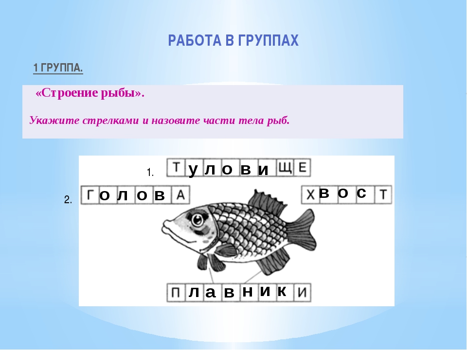 Схема слова рыба. Речевые рыбы. План к рассказу рыбы следопыты. Слово рыбка под цтфрой4.