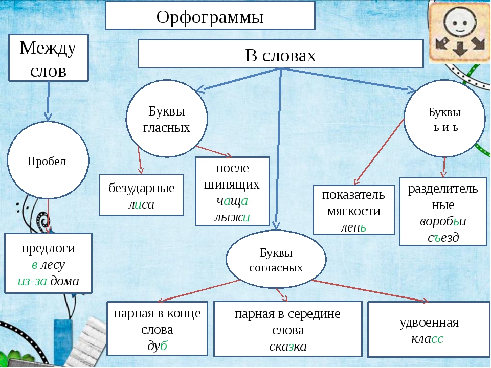 Орфограмма в слове стол