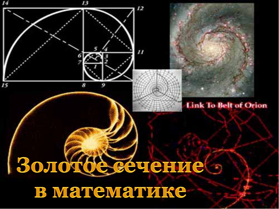 Проект на тему золотое сечение