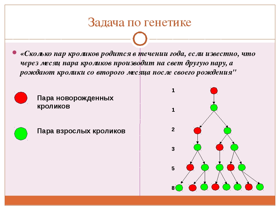 Точка дельта это в генетике. Задачи на генетику. Решение задач по генетике. Генотип в задачах. Легкие задачи на генетику с решением.